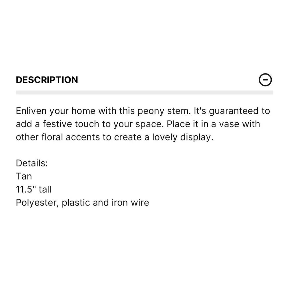 Set of 6 Viral Ashland Cream Peony Stems From Michael’s NEW